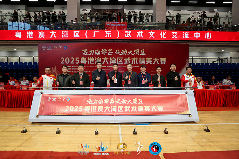 助力武术盛会，共促文化传承——李斌主席受邀出席大湾区武术精英大赛